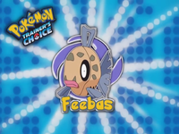 EP407 Elección