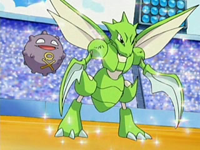 EP519 Koffing y Scyther