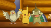 EP662 Pikachu Axew y Pidove