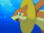 EP546 Buizel con el flotador de su cabeza inflado