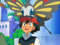 EP545 Beautifly en la cabeza de Ash
