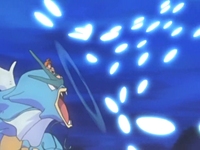 EH02 Gyarados usando protección