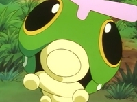 EP003 Caterpie de Ash