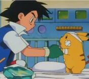 EP014 Centro Pokémon