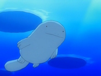 EP552 Quagsire de Mananti (2)
