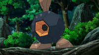 EP722 Roggenrola de Ash
