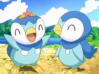 EP549 Pippy y Piplup contentos