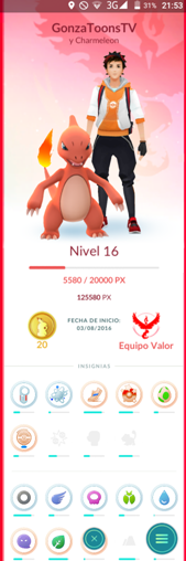Perfil GO