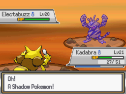 ShadowPokemon