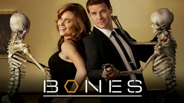 Archivo:Bones.png