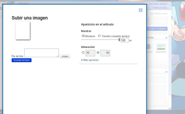 Archivo:MMWikiBug.jpg