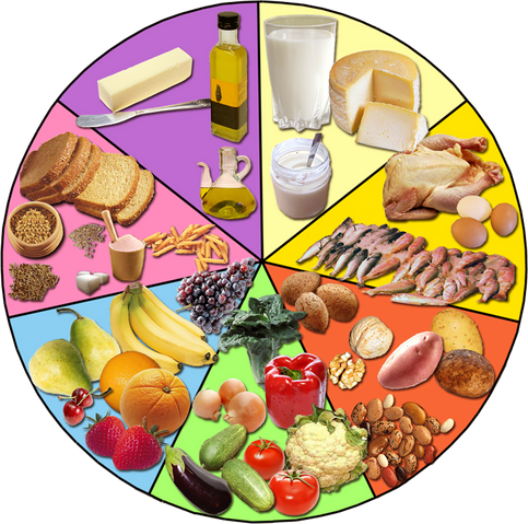 Archivo:Alimentos.png