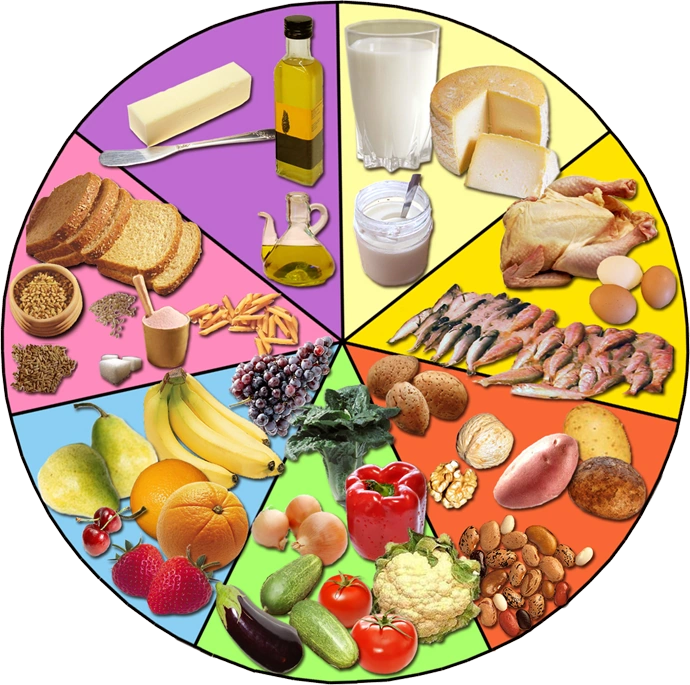 Alimentos Comunidad Central FANDOM powered by Wikia