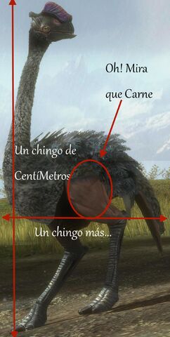 Archivo:Moa HR.jpg