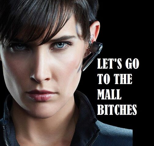 Archivo:Let's go to the mall bitches.jpg