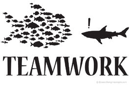 Teamwork wikia