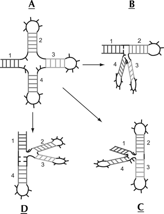 Coaxial
