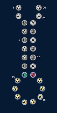 Hairpin Example