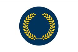 Anellflag