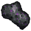 M13