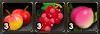 Fruit