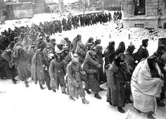 German surrender in STalingrad