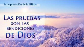 Videos Reflexivos Las Pruebas Son Las Bendiciones De Dios