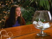 Tawny(Stevens Manor)