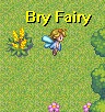 Bry fairy