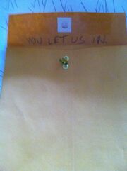 Back flap of envelope