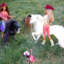 barbie california girl horse