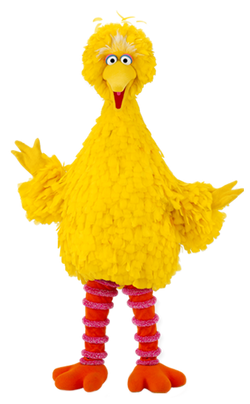 Big Bird