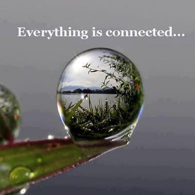 Image result for everything is connected