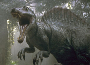 JP Spino