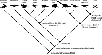 Dino Family Tree