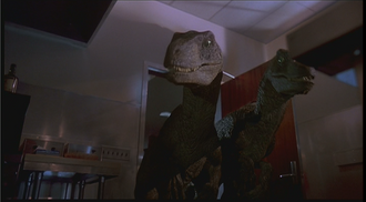 JP Raptors