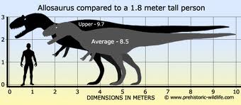 allosaurus and t rex