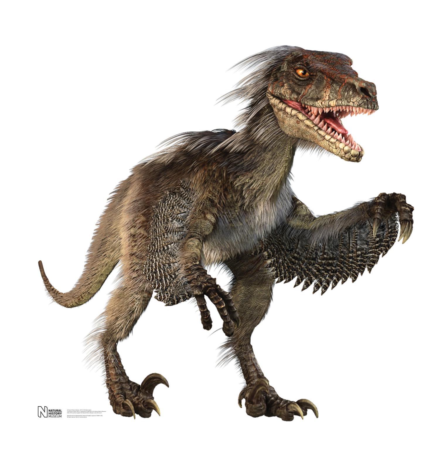 evans raptor bike