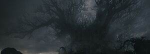 The Plague Tree