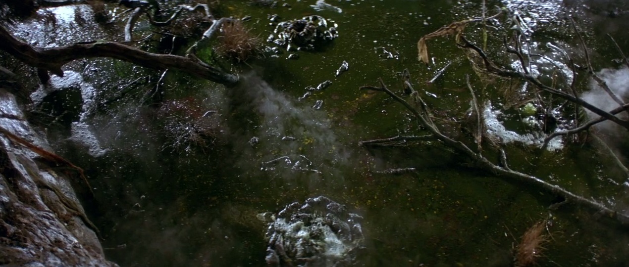 the bog of eternal stench the bog of eternal stench