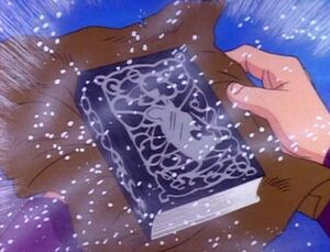 The Nameless Book