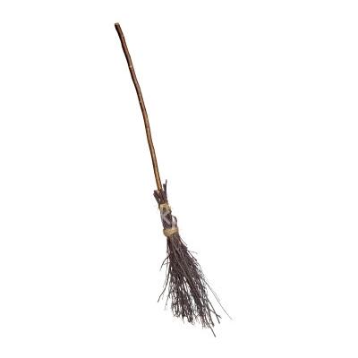 Image - Witch's Broomstick.jpg | The Evil Wiki | FANDOM powered by Wikia