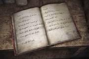 Claudia Wolf's Diary