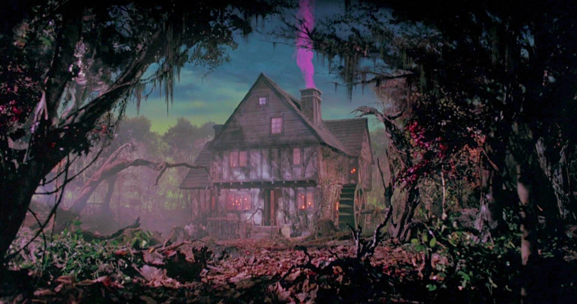 Sanderson Sisters #39 Cottage The Evil Wiki Fandom