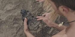 Baphomet Idol recovered