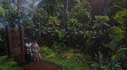 Jungle Dimension