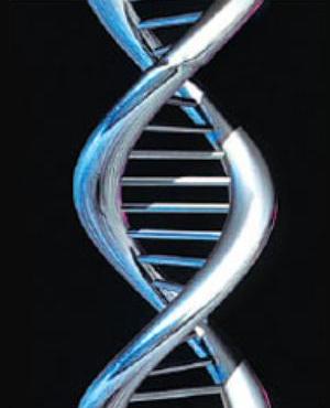 The Progenitor Virus