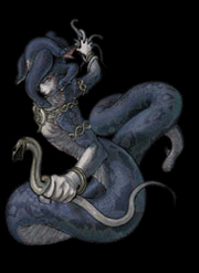 Medusa CVLOD