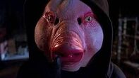 Sheila harrison pig mask