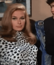 Sharyn Hillyer leopard